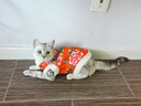 贝初众猫咪衣服保暖小猫衣服狗狗衣服过年冬天德文布偶猫蛇年宠物衣服 东北大花棉袄 M 建议5-8斤 实拍图