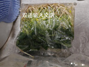 疯狂水草铜钱草鱼缸植物水草植物净化水质水养植物约50-100根源头直发包邮 实拍图