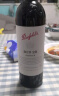 奔富（Penfolds）BIN28西拉干红葡萄酒750ml*6 红酒年货送礼 实拍图