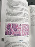 组织学与胚胎学（第10版/本科临床/配增值） 实拍图