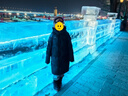 波司登冬季90鹅绒极寒羽绒服男女情侣款中长款连帽外套大码推荐 实拍图