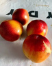 驰振智利进口樱桃李纯甜红李子新鲜时令孕妇水果礼盒装年货送礼水果 3斤甄选果【高复购装】 实拍图