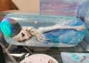 迪士尼（Disney）文具套装 艾莎公主绘画学生文具礼盒50件套 开学大礼包学习用品儿童女孩生日礼物幼儿园毕业礼物 实拍图