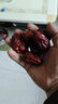 清源亳草2500g 新疆带核红枣大枣灰枣大红枣干货泡水茶核若羌枣和田散装 袋装红枣2500g（5斤装）精品小红枣 实拍图