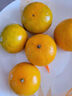 青尊园 广西正宗皇帝柑大果新鲜现摘黄帝甘超甜水果当季整箱贡桔橘子 精选装 3斤 晒单实拍图