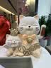 十号公馆八方来财招财猫摆件自动招手办公室前台店铺收银台装饰开业礼物 【京仓直发 带红色垫子】八方来财 长28宽20高28厘米 实拍图