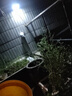 远盛达太阳能照明灯户外庭院灯家用投光灯光伏太阳灯室外防水路灯大功率 纳米透镜50000-W+照500㎡+5米线 升级加强高配置+电量显示 实拍图