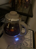 小熊（Bear）煮茶器 蒸汽喷淋煮茶壶 养生壶煮茶水壶加厚玻璃喷淋式蒸茶器冲泡茶煮花茶黑茶普洱茶0.8升 玻璃面板 0.8L ZCQ-A08H2 实拍图