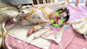 舒贝怡2件装婴儿衣服新生儿连体衣春款男女满月宝宝纯棉蝴蝶衣黄色52CM 实拍图