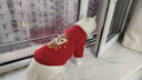憨憨宠 狗狗衣服 猫衣服宠物衣服变身装猫咪衣服中小型犬幼犬秋冬服装 小舞狮款 L号建议体重7-10斤 实拍图