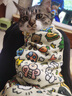 智宙猫咪固定包裹猫布剪指甲打针防抓防咬保定包神器束缚洗猫袋百贴布 卡通乐园-温柔束缚 防抓防咬 55*55【适合10斤以下】 实拍图