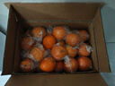 江西赣南早脐橙整箱当季新鲜早橙子榨汁水果礼盒皮薄多汁节日团购 【60%人选】净重18斤单个200g+ 实拍图
