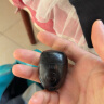 TOSWIM专业鼻夹游泳装备成人儿童防呛水舒适防水鼻塞 幽暗深海 实拍图
