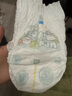 帮宝适（Pampers）清新帮泡泡拉拉裤婴儿学步裤男女宝宝通用成长裤尿不湿柔软透气 中码M50片【6-11kg】 实拍图
