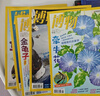 2025年1-11月【主题微赶海/全年/半年订阅】博物杂志2025/2024年1-12期打包 中国国家地理青少年版中小学生自然科普百科全书 适合7-15岁 【上半年送四本 共10本】2024年1-6期 实拍图