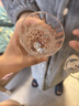 RCR复古轻奢水晶高脚香槟杯家用高颜值浮雕红酒杯子闺蜜轻奢礼盒套装 【傲柏】水晶刻花230ml红酒杯 2只 实拍图
