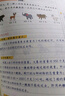斗半匠 数学母题解题大招 三年级数学思维训练 奥数举一反三 小学数学解题方法技巧拓展每日一练【3册】 实拍图