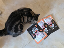 MamyPets磷虾蛋黄肉松冻干猫零食猫粮伴侣营养宠物猫咪粮挑食鸡肉松40g 实拍图