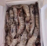 弹指鲜生虾盐冻大虾基围虾冷冻厄瓜多尔白虾夜宵烧烤食材毛重4斤净虾3.3斤 18-20cm 4斤(净重)  2030超大虾 实拍图