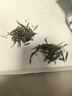 音朗茶叶绿茶 黄山毛峰 2025新茶雨前特级高山嫩芽茶叶礼盒2罐共150g 实拍图