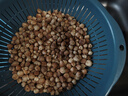 北京同仁堂白蔻中药材白蔻仁白豆蔻白扣白寇香料火锅调料无硫 250g 实拍图
