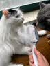 华元宠具（hoopet）引力水箱猫梳子去浮毛神器长短毛猫咪梳毛专用清理梳毛刷宠物用品  带水箱长毛用粉-含免洗液+湿巾 实拍图