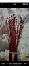 花行榜鲜枝年宵花卉 精品A级红色银柳80cm高30枝+灯笼2个+挂件源头直发 实拍图