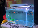 金利佳（Jeneca）鱼缸过滤器三合一吸水泵滤盒水族箱上滤上置循环过滤槽壁挂增氧 【大号白色四件套】适长55-82cm 实拍图