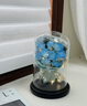 宜品达永生花仿真玫瑰花永不凋谢满天星干花束送老师女生日礼物520摆件 碎冰蓝玫瑰7朵+灯串 亚克力罩+手提礼盒 实拍图