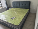 惠寻 京东自有品牌 床现代风单人床1.5米床大床1.8米x2米双人床床主卧 床+T333半拆-20cm椰棕床垫 【浅蓝】1.8米x2米(框架结构） 实拍图