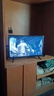精彩王牌系列液晶电视机32/37/40/47/55/65/75/85/100英寸4K超高清网络智能语音投屏防蓝光miniled电视 32平板超清电视版 长61cm高36cm 实拍图
