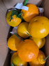 生活＆好管家 四川春见耙耙柑爆浆大果新鲜水果礼盒应季橘子现摘柑橘子桔子 净重3斤【尝鲜装】 果径70-75mm【中果】 实拍图