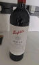 奔富（Penfolds）BIN28西拉干红葡萄酒750ml*6 红酒年货送礼 实拍图