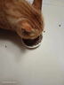 玫斯猫粮（metz）幼猫/成猫猫粮猫全猫粮增肥奶糕英短美短全价美毛 升级款成猫（6.8KG） 实拍图