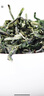 象棋山有机绿茶2025新茶明前春茶叶广西昭平高山茶实发250g 实拍图