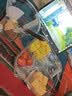 【鲜切四拼】西瓜+西州蜜瓜+玉菇蜜瓜+凤梨 原切750g 实拍图