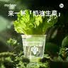 弥鹿（MiDeer）儿童植物种植观察窗阳光房小盆栽玩具小学生幼儿园暑假生日礼物 【水培款1】水培生菜-送营养粉 实拍图