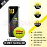 威尔胜（Wilson）美网专业比赛赛事用球上海大师赛全场地练习训练有压网球罐装球 【美网球】WRT107300 有压球 实拍图