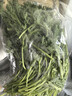 青浦去根茼蒿 300g 实拍图