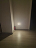 雷士（NVC）小夜灯LED光控插电灯儿童床头灯卧室照明迷你宝宝婴儿喂奶灯 【光控款】天黑即亮|无蓝光危害 实拍图