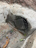 304不锈钢地漏侧边墙洞防鼠防鸟罩110排水管下水道防堵过滤网罩 200型号-多功能网罩 实拍图