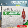 运动解剖学图谱第3版 运动解刨学图谱人体解剖学教程 肌肉塑造 运动瑜伽肌肉解剖 体育理论与教学参考书籍 顾德明 运动医学书籍 人体全面解剖图谱体育医学专业理论书籍 晒单实拍图