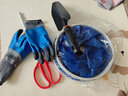 OFEIS赶海工具套装沙滩挖沙玩具铲子挖土种花种菜挖春笋工具园艺4件套 实拍图