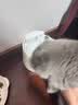 SMARTTAIL猫咪饮水机无线智能恒温加热不插电陶瓷喝水器自动循环饮水器 陶瓷饮水机（最长待机130天） 陶瓷智能饮水机 实拍图