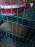 憨憨宠猫笼折叠猫笼子大号猫别墅加粗加密双层猫舍猫窝宠物猫咪用品家用 蓝色 700双层 实拍图