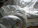 钱皇阳春白雪冬暖夏凉被 100%桑蚕丝 子母被 净重1.8+3.6斤 200*230cm 实拍图