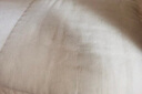 天山雪域新疆棉被秋冬被芯单双人棉花被子 鱼鳞网带包边 四季被 7斤 200*230cm 实拍图