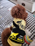 阿莫尔小狗狗衣服春夏薄款网红背包搞笑泰迪猫咪宠物小型犬幼犬夏季服饰 宠团外卖【带背包】 L 建议8-10斤 背长30cm 实拍图
