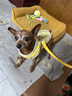 嬉皮狗小狗狗牵引绳背心式遛狗绳子小型犬胸背带狗链子 M码 建议4-10斤 实拍图