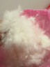 VA散装羽绒95大朵白鹅绒原料一斤装国标被90白鸭绒服填充物鹅吊吊绒 补差价3 500g（一斤价格） 实拍图